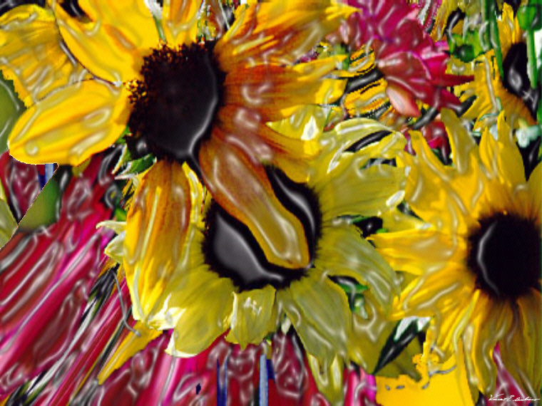 Mesembryanthemum chrystallinum (gummybear flower)LR.jpg - 238647 Bytes